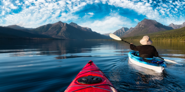 Highly-Rated Environmental Nonprofits Header Image